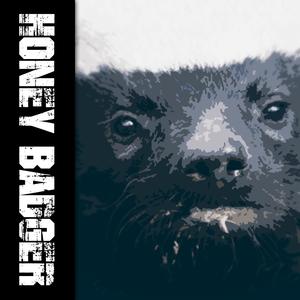 Honey Badger