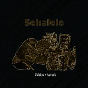 Sekalele