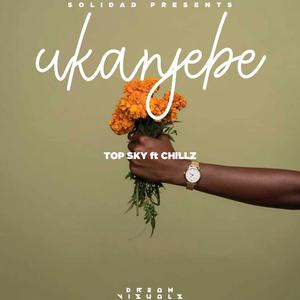 Ukanjebe (feat. Top Sky & Chillz Breezer)