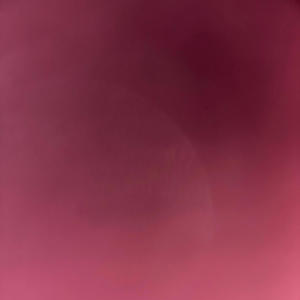 Money talk (Explicit)