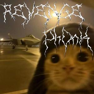 HARD PHONK BEAT | DOG FIGHT