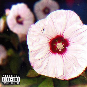 Flowers Don't Bloom Overnight (Explicit)