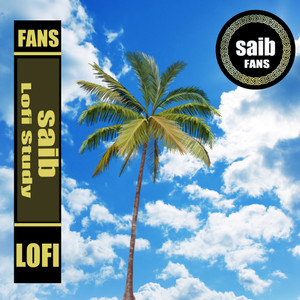 minutes lofi (a girl and a cat & BabyRonny - Produciendo Remix)