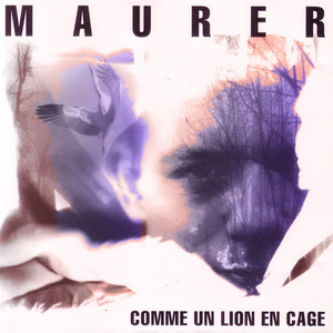 Comme Un Lion En Cage