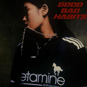 Good Bad Habits (Explicit)