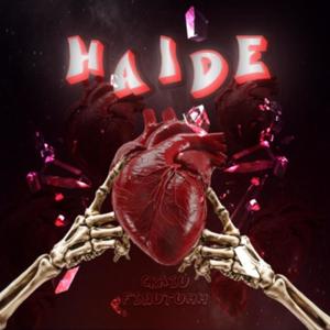 Haide (feat. Finutuhh)