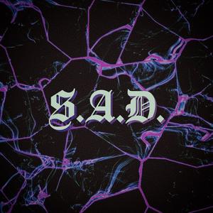 S.A.D. (feat. WXLL) (Explicit)