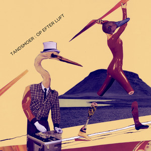 Sprækker i kraniet (Inst.)