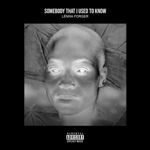 Somebody That I Used To Know (feat. Lénna Forger)