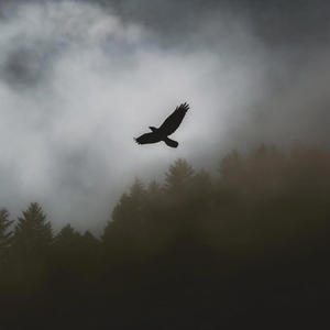 Growth Mindset vs. Fixed Mindset