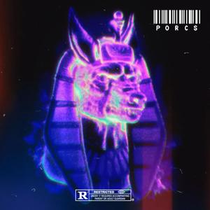 PORCS (feat. Shaman) [Explicit]