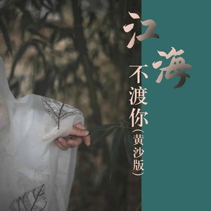 火海 (Remix)