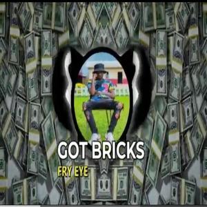 Got bricks