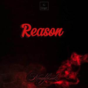 Reason (Explicit)