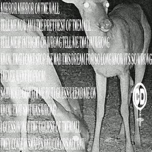 mirror mirror (Explicit)