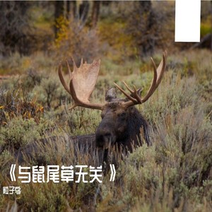 与鼠尾草无关