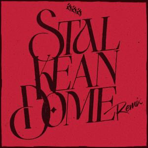 STALKEANDOME REMIX (feat. Kidd Bask) (Explicit)