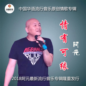 你走了我哭了 (伴奏)