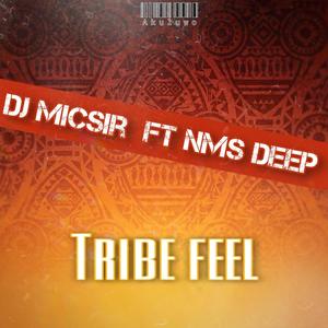 Tribe Feel(feat. NMS Deep) (Akuluwo Version)