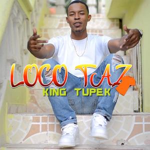 LOCO TAZ (Explicit)