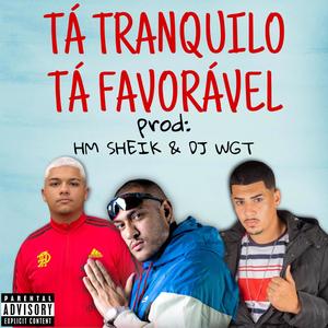 TÁ TRANQUILO, TÁ FAVORÁVEL vs PIQUE BBB (DJ WGT Remix)