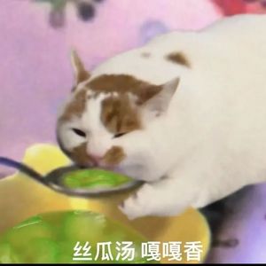 丝瓜汤（甜玉米）-苏御