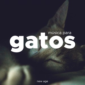 Musica para Gatos para Relajarse y Dormir