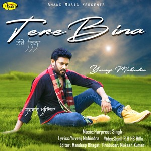 Tere Bina