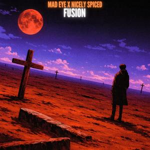 FUSION (feat. Nicely Spiced)