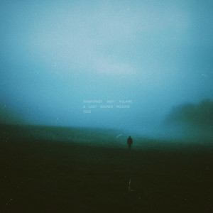 rainforest (sped up)