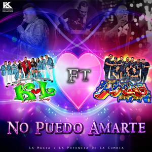 No puedo amarte (feat. Grupo Macao)