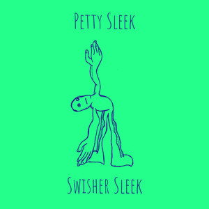 Petty Sleek (Explicit)