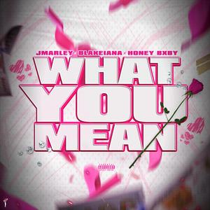 What You Mean (feat. Honey Bxby & BlakeIANA) [Explicit]