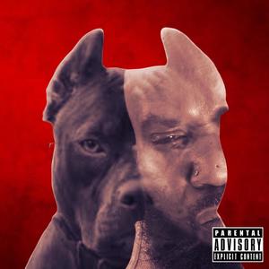 Switch (Explicit)