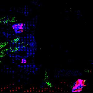 7757 (feat. nuvfr) (Explicit)