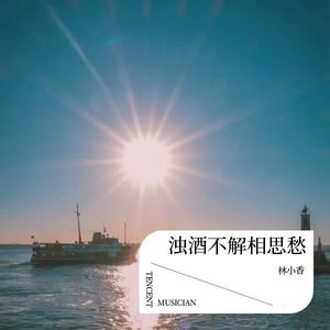 浊酒不解相思愁