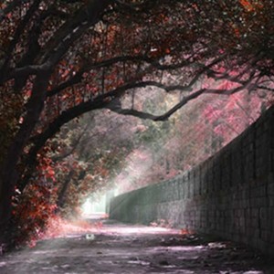 雨物语 (Original Mix)