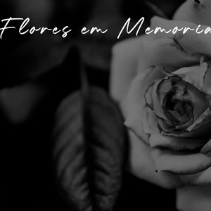 Flores em Memoria