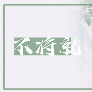 美丽女人 (DJ版)