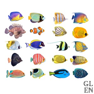 ARRECIFE (feat. Veeto & Glenzz) (Explicit)