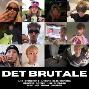 DET BRUTALE (feat. Ans, Svensker C, Anders, Blomsterbien, Egelund, Kigo, Chriller, Mimi, Luc & Tishat) (Explicit)