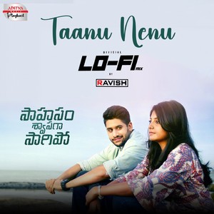 Taanu Nenu Lofi Mix (From 