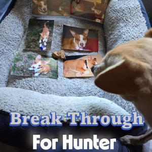 Charlie Brown (feat. charlie toØ Human) (Explicit)