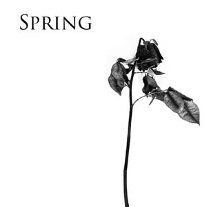 SPRING (Explicit)