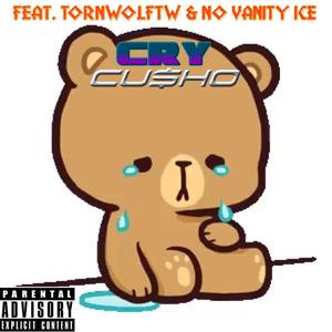 Cry (feat. TornWolfTW & No Vanity Ice) [Explicit]