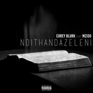 Ndithandazeleni (feat. Mzido) [Explicit]