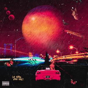 LSD Vision (Explicit)