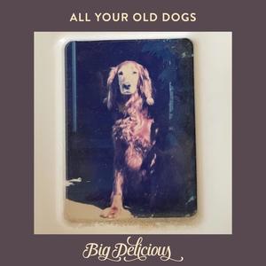 All Your Old Dogs (feat. Georgia Fields)