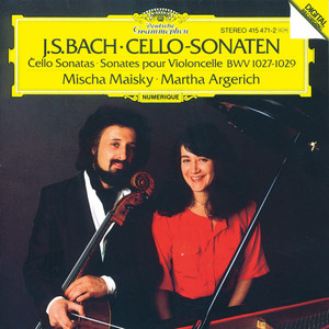 Viola da Gamba Sonata No. 3 in G Minor, BWV 1029 - I. Vivace (G小调第3号为古大提琴和大键琴而作的奏鸣曲，作品1029 - 第一乐章 活泼的)