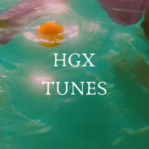 Hgx Tunes